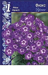 Флоксы