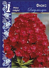 Флоксы