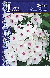Флоксы