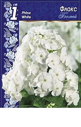 Флоксы